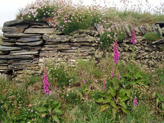 Cornish Hedge Clean Up!