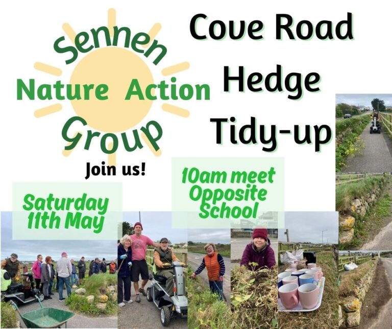 Cove Road Hedge Tidy-Up