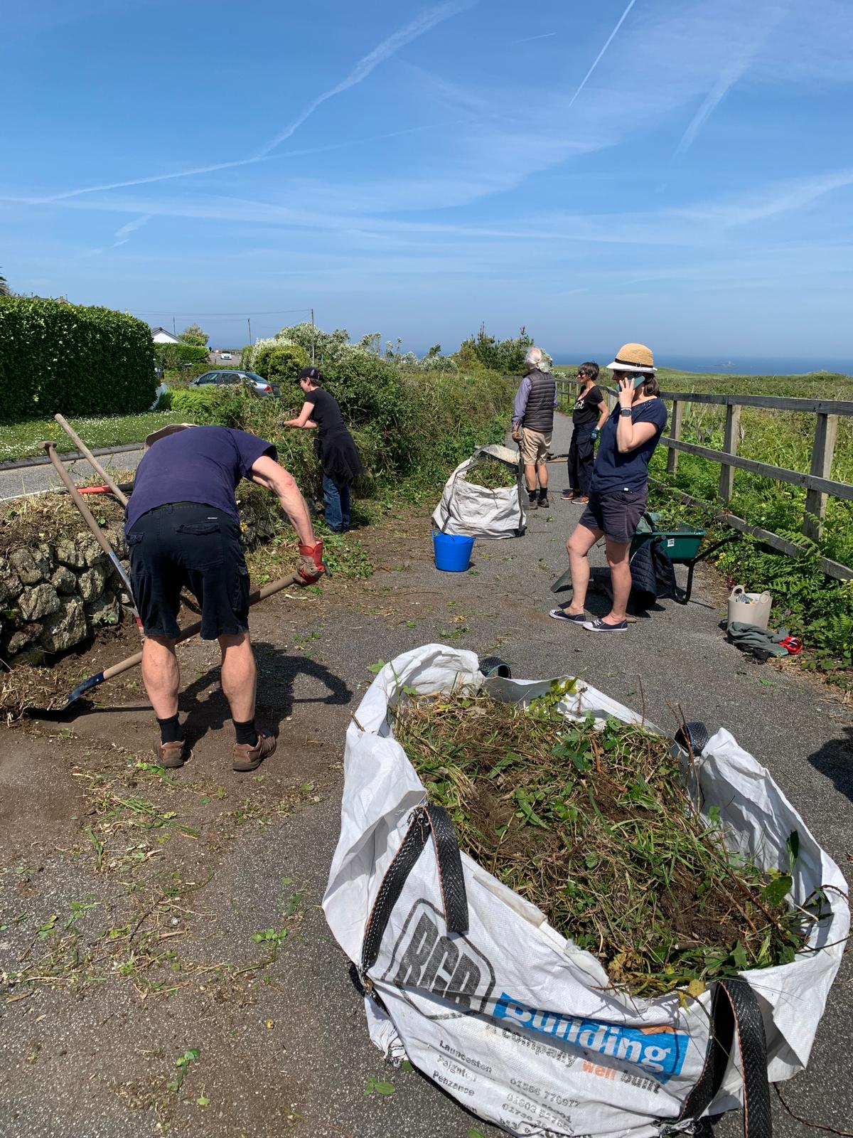 a group of volunteers gardening