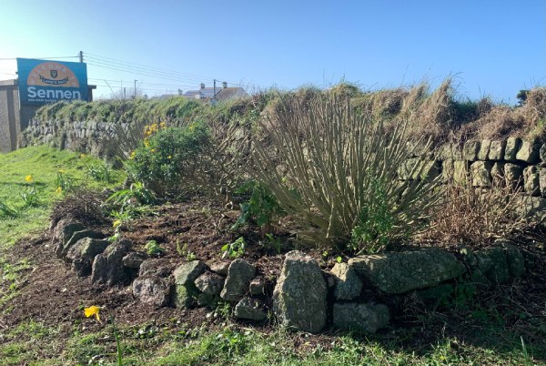 Image showing a pruned rockery at Sunny Corner Sennen