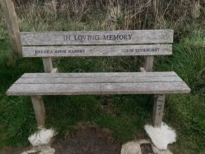 Image showing bench at Carn Olva Sennen